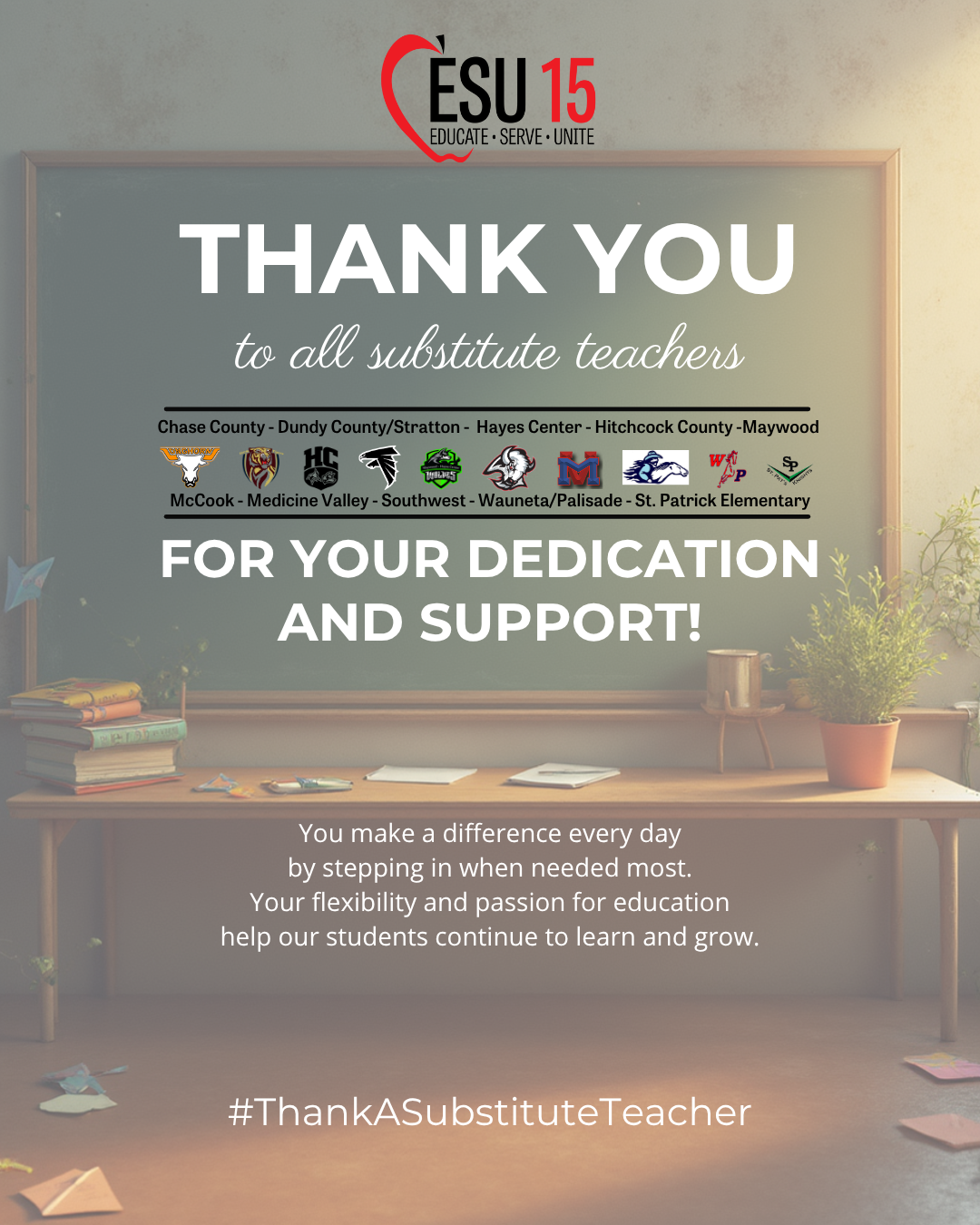 Thank You Substitute Teachers!